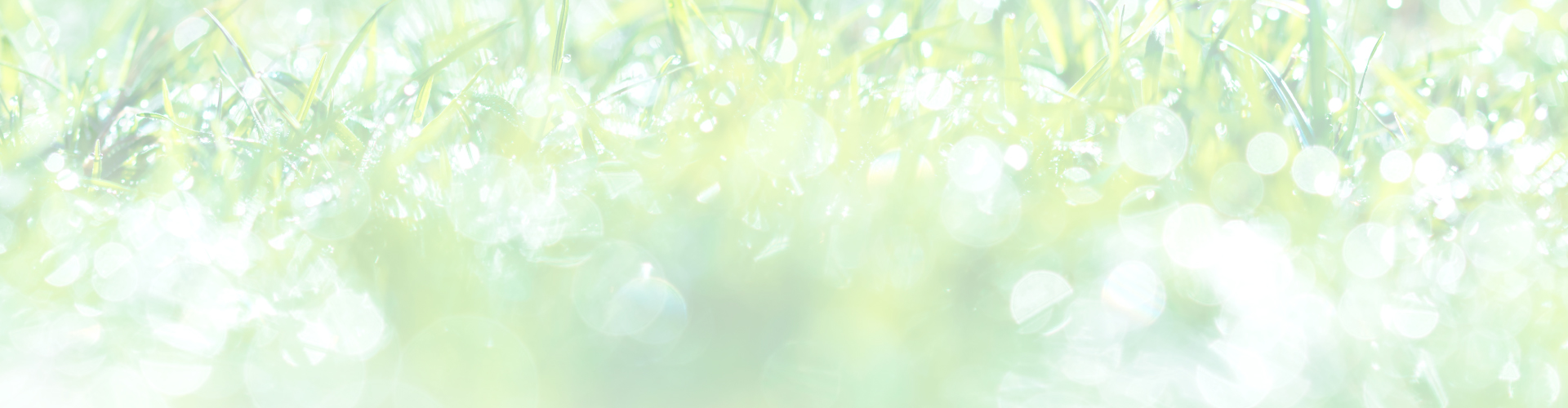 background-image