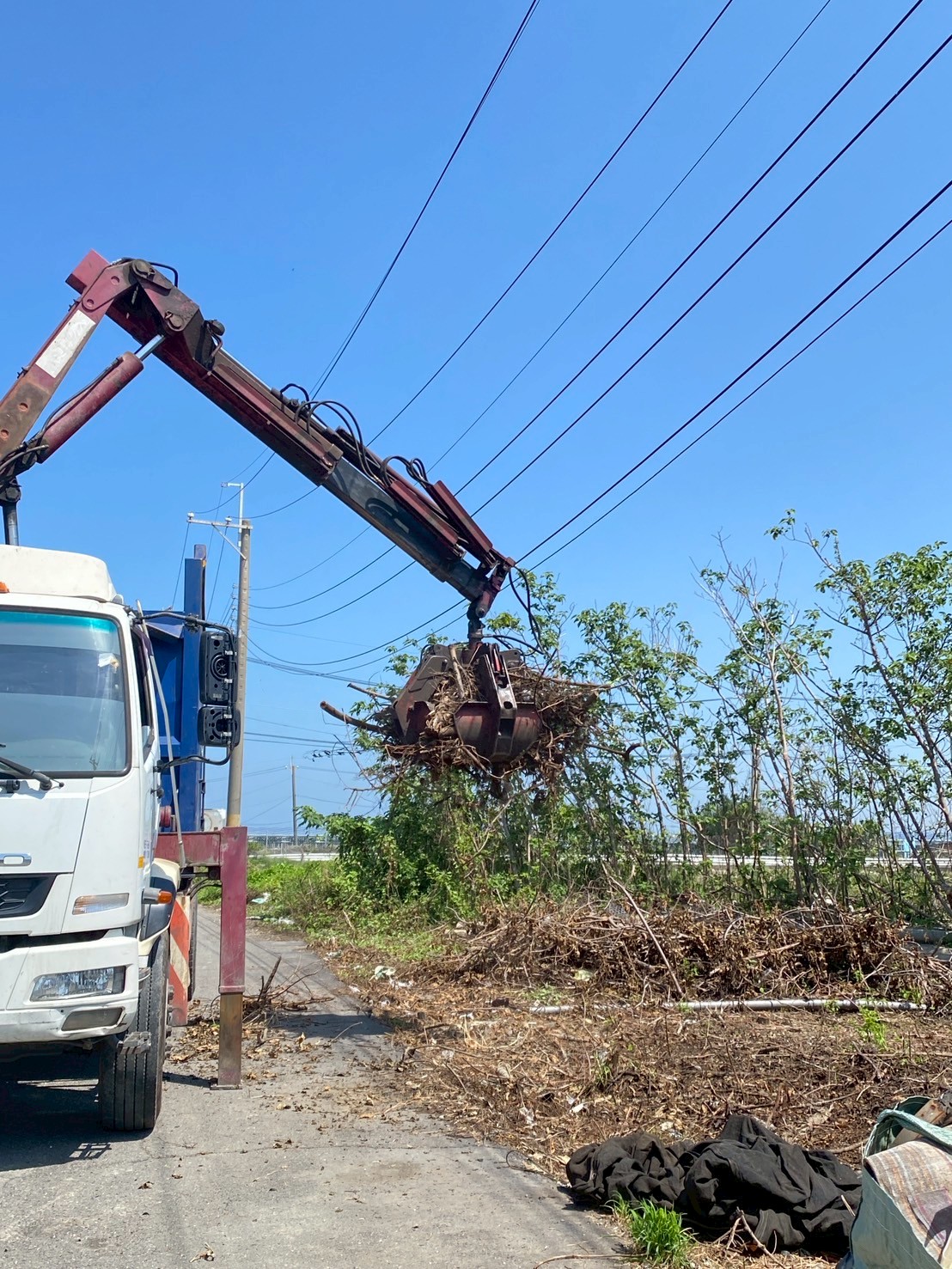 廢樹枝葉清運