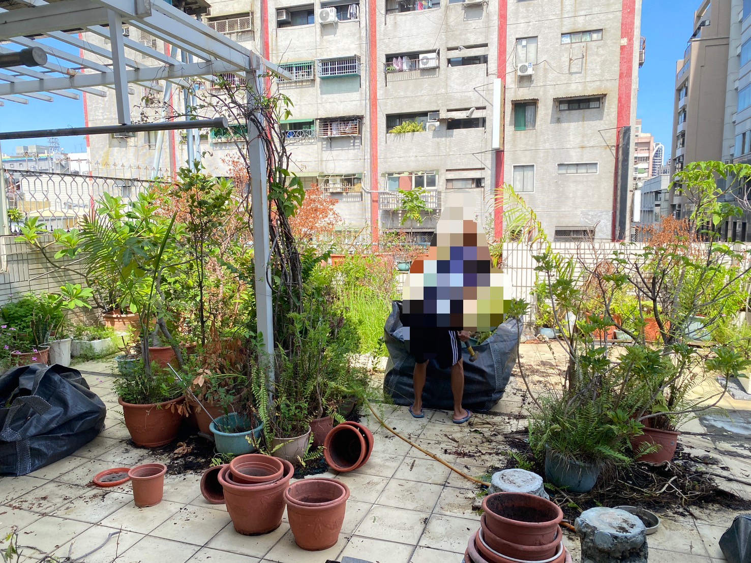 新興區 露天陽台花草樹枝清運